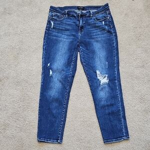 Judy Blue Distressed Skinny Jeans
